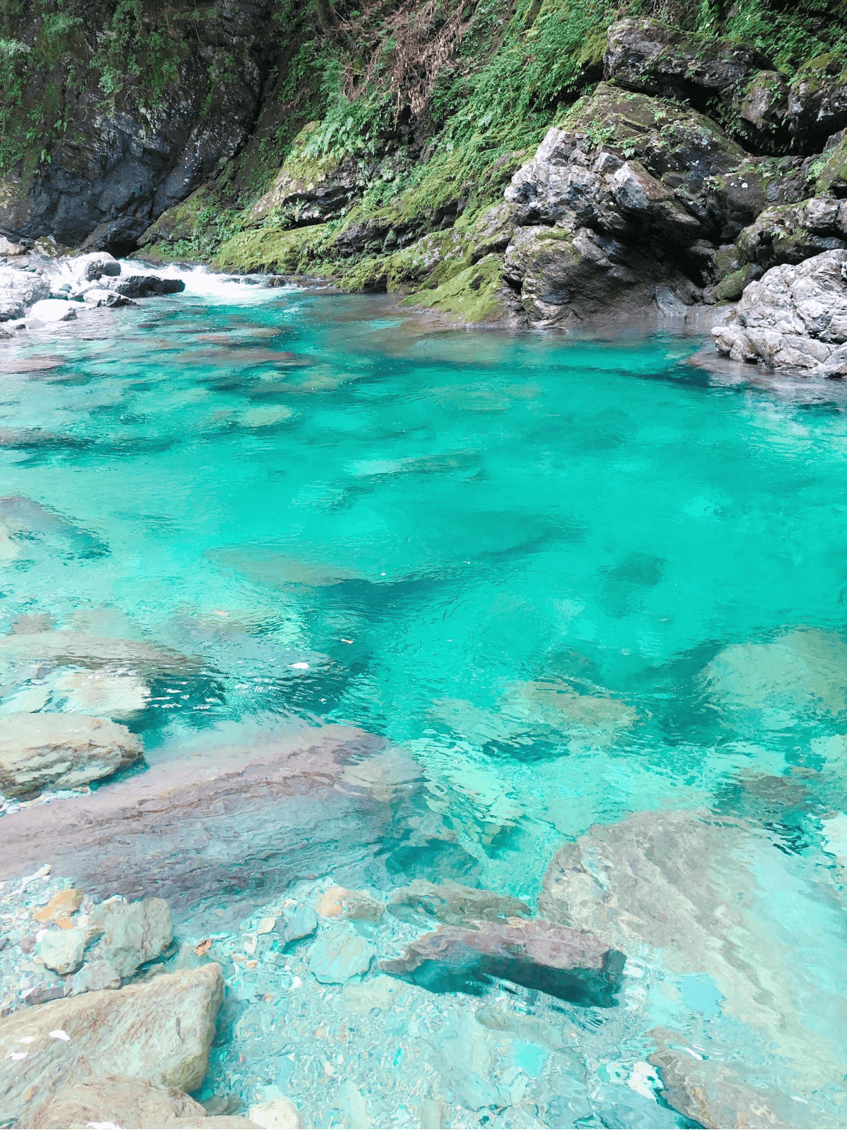 海の画像